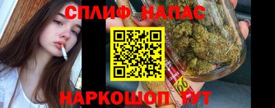 a pvp Моздок