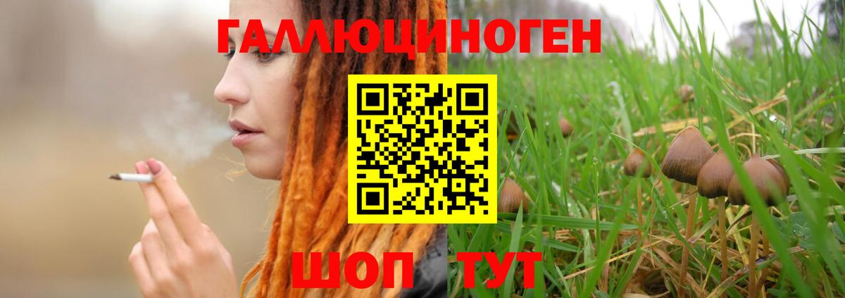 Галлюциногенные грибы ЛСД  Вход с VPN  Псилоцибиновые грибы MAGIC MUSHROOMS  Юрга 